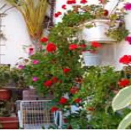 Ravlic Marija Apartament